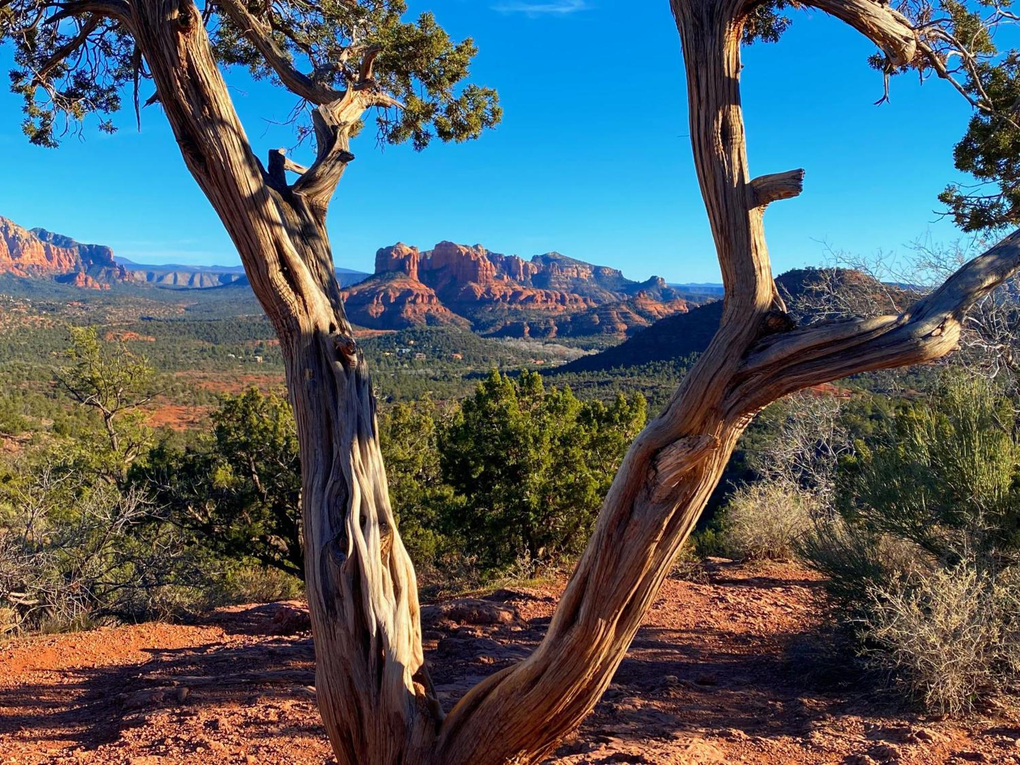 Sedona'S Paradise Found, Saltwater Pool And Hot Tub, Private Oasis! Bagian luar foto